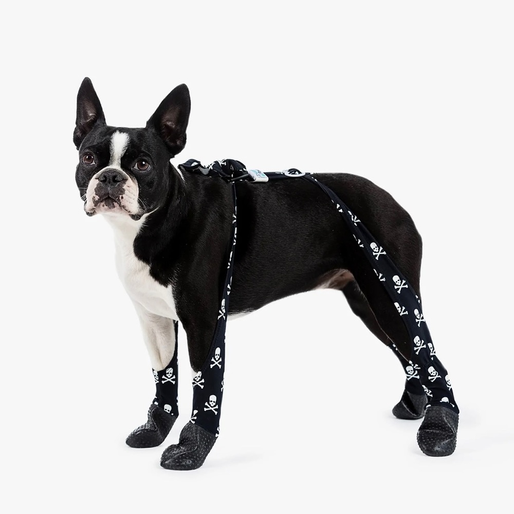 Skull walkee paws